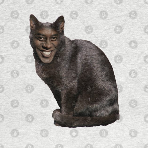 Ainsley Harriott Cat by SubtleSplit